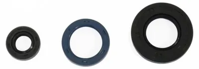 Obrázek produktu pro Sada těsnění motoru ATHENA P400250400017