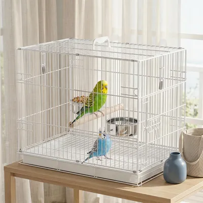 Produktbild von Vogelkäfig faltbar für Reisen, tragbar mit Griff, Reisevogelkäfig Stahl, Weiß | 49 x 31 x 40 cm | klappbar auf 10 cm | für Kleinstvogelarten