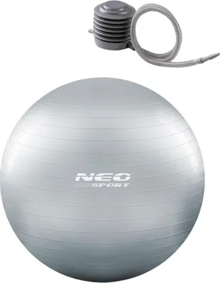 Obrázok produktu pre Piłka do ćwiczeń 65 cm NS-951 srebrna