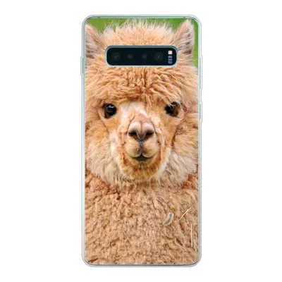 Produktbild von MuchoWow® Handyhülle Schutzhülle Hülle für Samsung Galaxy S10 Lite Alpaka - Wolle - Braun Silikon Softcase Handy Hülle - Schutz