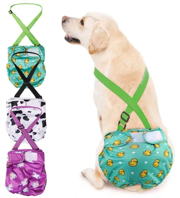Image de Lot de 3 couches lavables pour chiennes