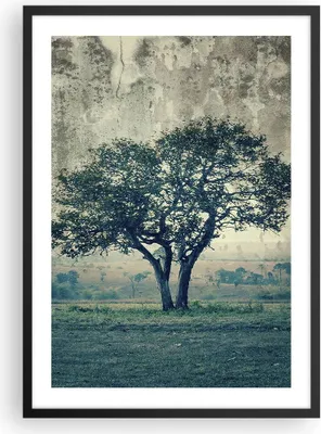 Produktbild von Gerahmtes Poster - Schwarzer Rahmen - Baum Natur Feld - 50x70 cm - Wand Bild - Wanddeko - Wandbilder - Kunstposter - Wandposter - Bilderrahmen - Bilder - Kunstdruck - Wandbild - P2BPA50x70-3627