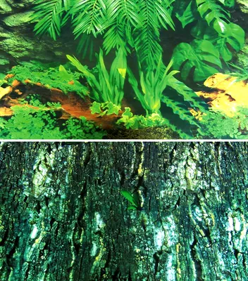 Produktbild von Trixie Terrarien-Rückwand 150x60 cm, beidseitig, Baumrinde/Regenwald