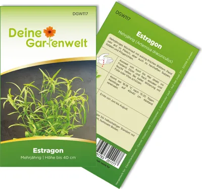 Estragon Mehrjährig Samen - Artemisia dracunculus - Estragonsamen - Kräutersamen - Saatgut für 50 Pflanzen