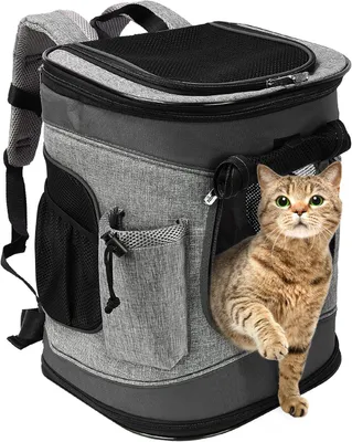 Image de Sac à dos de transport pour animaux de compagnie, avec fenêtres en filet, pliable, pour chats et petits chiens jusqu'à 7 kg