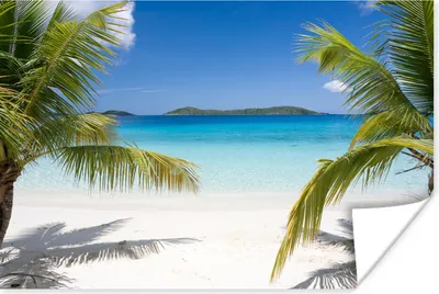 Produktbild von MuchoWow® Poster Tropische Palmen am Strand 30x20 cm - Plakate - Print