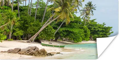 Produktbild von MuchoWow® Poster Palmen - Strand - Sommer - Tropisch 150x75 cm - ohne Rahmen