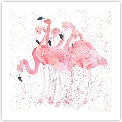 Produktbild von Poster - Poster ohne Rahmen - Flamingo Vogel Wasser - 50x50 cm - Wand Bild - Wanddeko - Wandbilder - Kunstposter - Wandposter - Bilder - Kunstdruck - Wanddekoration - Wandbild - P2XAC50x50-3899