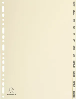 Immagine prodotto di Cartelle di cartone EXACOMPTA, mesi, A4, 12 pezzi