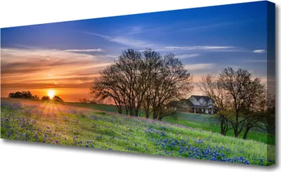 Produktbild von Tulup Leinwand-Bilder 125x50 Wandbild Canvas Kunstdruck Wiese Sonne Landschaft
