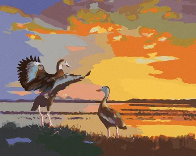 Produktbild von Zuty - Malen nach Zahlen - ENTEN UND SONNENUNTERGANG (D. RUSTY RUST), 40x50 cm, ohne Keilrahmen