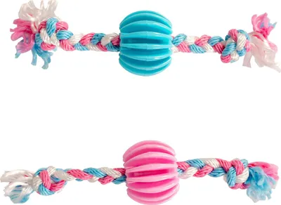 Image de Jouet pour chien Duvo+ Puppy TPR Snack Ball avec coton