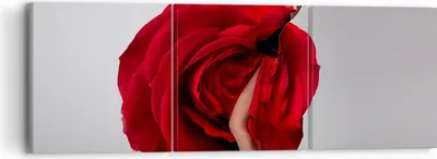 Produktbild von Bild auf Leinwand - Leinwandbild - Karneval Kleidung Kultur Tänzerin - 90x30cm - Wand Bild - Wanddeko - Leinwanddruck - Bilder - Kunstdruck - Leinwand bilder - Wandkunst - CA90x30-2138