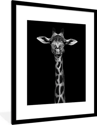 Produktbild von MuchoWow® Gerahmtes Poster Giraffe - Tiere - Porträt - Schwarz 60x80 cm - Poster mit Schwarzem Bilderrahmen Wandposter Rahmen Foto Bilder - Wohnzimmer - Dekorationen - Prämie