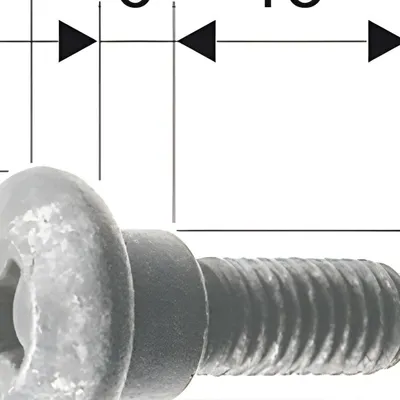 Zdjęcie produktu dla Śruba korpusu RMS do Piaggio / Gilera, 298086 / 575249