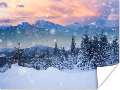 Produktbild von MuchoWow® Poster Schnee - Himmel - Wald - Winter 160x120 cm - Foto Plakat