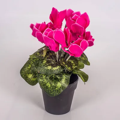 Produktbild von artplants.de Kunstblume Alpenveilchen im Topf, 12 Blüten, pink, 25cm - Mini Kunstblumen - Dekoblumen klein