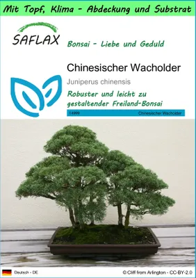 Produktbild von SAFLAX Garden to go - Chinesischer Wacholder - Juniperus chinensis - 30 Samen - Mit Topf, Klima - Deckel und Anzuchtsubstrat