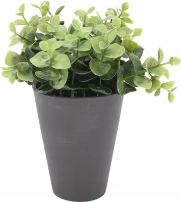 Image de Plante décorative artificielle en pot 17 cm