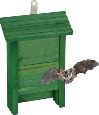 Immagine prodotto di Relaxdays Casetta per pipistrelli, rifugio per pipistrelli, A x L x P: 29 x 18 x 6 cm, giardino, hotel per pipistrelli, legno, verde