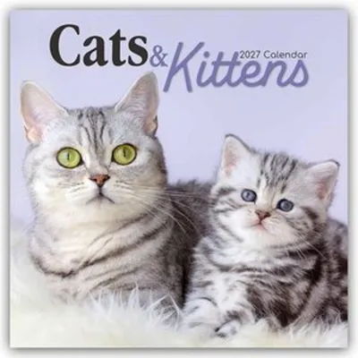 Produktbild von Cats and Kittens - Katzen und Kätzchen 2027 - 16-Monatskalender