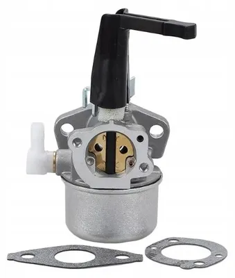 Produktbild von Vergaser für Briggs & Stratton Motor 696065, 697422