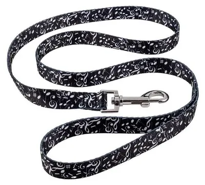 Produktbild von DRW Leine für Hunde oder Katzen, Musiknoten, mit Karabiner, 1,5 x 120 cm