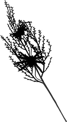 Produktbild von Dekorativer schwarzer Gothic Zweig mit 2 Spinnen 36 cm