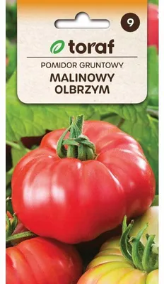 Obrázok produktu pre Semená paradajok – paradajka pestovaná v záhrade OLBRZYM 0,5 g Toraf 171