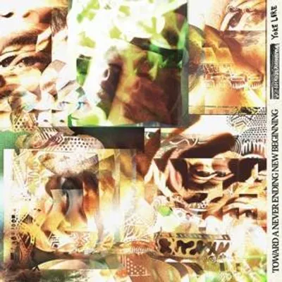 Produktbild von Toward a Never Ending New Beginning