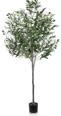 Image de Olivier 180 cm - Plante artificielle en pot - Décoration réaliste - Facile d'entretien - Pour intérieur/extérieur