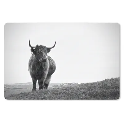 Produktbild von MuchoWow® Schreibtischunterlage Tiere - Schottische Hochlandbewohner - Schwarz und weiß - Natur - Ländlich 60x40 cm - XXL Mauspad - Großes Mauspad