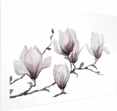 Produktbild von Posterpapier Poster - Painted Magnolias 90x60 cm Blumen b-A-0541-ao-a