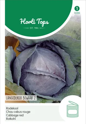Produktbild von Rotkohl Langedijker Dauer 2 | Rotkohlsamen von Hortitops