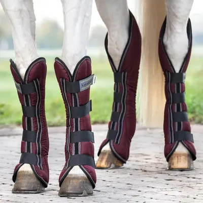 Produktbild von Kavalkade Transportgamaschen Montreal 4er-Set, Farbe:bordeaux, Größe:Pony