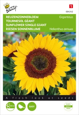 Artikelbild 2 von 'Riesen Sonnenblume Giganteus' aus der Kategorie Sonnenblumensamen