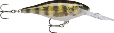 Obrázek produktu pro Rapala Shad Rap Live Perch 7 cm 8 g Wobler