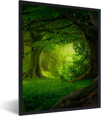 Produktbild von MuchoWow® Gerahmtes Poster Bäume - Wald - Grün - Landschaft - Natur 60x80 cm - Poster mit Schwarzem Bilderrahmen Wandposter Rahmen Foto Bilder - Premium - Wanddeko Wohnzimmer