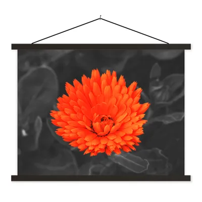 Produktbild von MuchoWow® Textilposter Blumen - Orange - Schwarz - Weiß 150x113 cm mit schwarzem Rahmen - Wohnzimmer