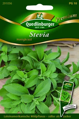Produktbild von Stevia Süßkraut | Steviasamen von Quedlinburger