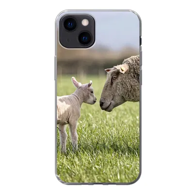 Produktbild von MuchoWow® Handyhülle Schutzhülle Hülle für iPhone 13 Schafe - Gras - Lamm Silikon Softcase Handy Hülle - Karteninhaber
