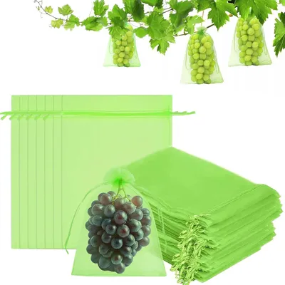 Produktbild von 100 Stück 20x30cm Grün Obst Schutzbeutel Schutzbeutel mit Zugband