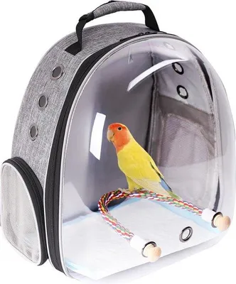 Productafbeelding van Famanu Transportbox voor vogels - Transparante, draagbare vogelrugzak - Grijs
