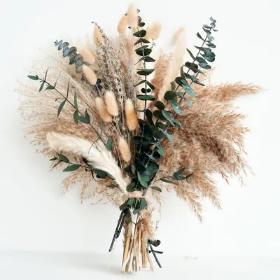 Image de Omgoods - Décoration avec des herbes de pampa - Fleurs séchées pour la table et le salon