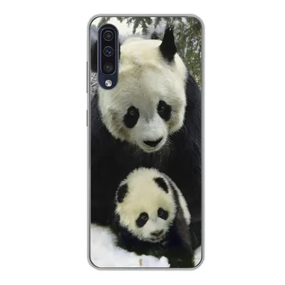 Produktbild von MuchoWow® Handyhülle Schutzhülle Hülle für Samsung Galaxy A50 Panda - Jungtier - Schnee Silikon Softcase Handy Hülle - Mobiltelefonhülle