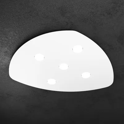 Image de Forme Métal Moderne Plafonnier Blanc 5 Lumières Gx53