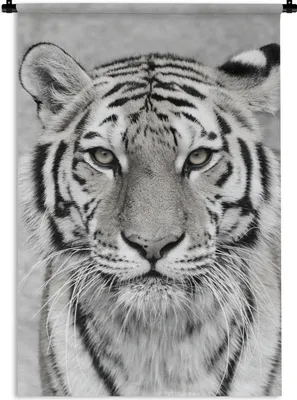 Produktbild von MuchoWow® Wandteppich Wandbehang Tiger - Natur - Schwarz - Weiß 60x90 cm Tapisserie Dekoration Wandtuch - Foto-Teppich - Abwaschbar