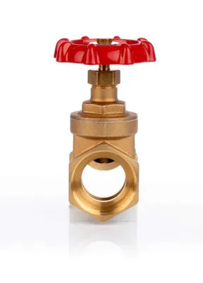 Produktbild von Jung Pumpen M-Zubehör Absperrschieber DN 40