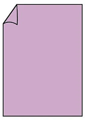 Produktbild von Rössler Papier Paperado-Blatt DIN A4, Orchidee - ein Blatt