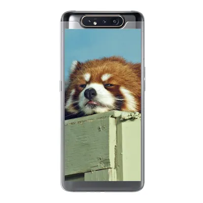 Produktbild von MuchoWow® Handyhülle Schutzhülle Hülle für Samsung Galaxy A80 Panda - Holz - Rot Silikon Softcase Handy Hülle - Schutzdeckel